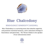 Olivenorma Zodiac Crystal Healling Balance Wrap Bracelet